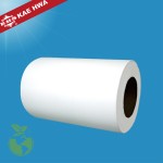 Waterproof Membrane Manufacturer - Microporous Breathable Film
