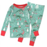 Christmas Pajamas Manufacturer - Organic Cotton Children