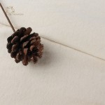 Jersey Fabric Manufacturer - Hemp Bamboo 230gsm