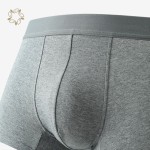 Men's Underpants Factory - Hemp Organic Cotton Boxer