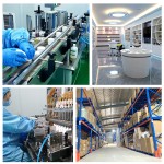 High Quality Lumbar Back Warmer Patches Factory OEM Heating Patches