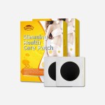 OEM/ODM Services Body Shaping Fast Weight Lose Burning Fat Patches