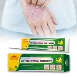 Wholesale Custom Herbal Skin Ringworm Cream Skin Eczema Itching Acne Fungal Infection Ointment