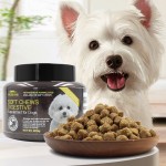 工厂供应OEM/ODM 300克天然益生菌软嚼狗零食供应商，宠物肠道健康补充剂无谷物