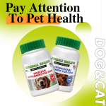 私人标签定制咀嚼片多种维生素补充剂的猫宠物健康护理产品