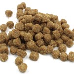 工厂供应OEM/ODM 300克天然益生菌软嚼狗零食供应商，宠物肠道健康补充剂无谷物
