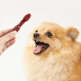 宠物用品狗牙科治疗狗零食制造商牙科护理狗治疗牛肉味牙齿清洁骨