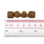 工厂供应OEM/ODM 300克天然益生菌软嚼狗零食供应商，宠物肠道健康补充剂无谷物