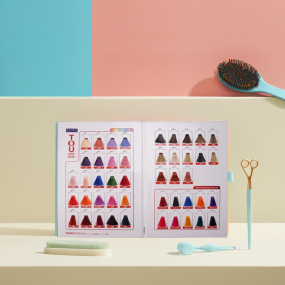 Hair Color Chart Supplier - Wholesale Styling Tools
