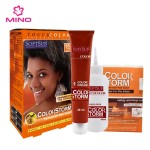 African Hair Color Supplier - Permanent Ethnic Women