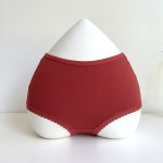 Eco-friendly 95%bamoo 5%spandex Panties Bamboo Underwear Breathable with High Quality Comfortable Female Lady Women Underwear