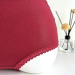 Eco-friendly 95%bamoo 5%spandex Panties Bamboo Underwear Breathable with High Quality Comfortable Female Lady Women Underwear