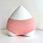 Bamboo Underwear Lace Side Female Underwear Women Panties Wholesale High Quality Lady Hipster Spandex / Bamboo Fiber Breathable