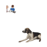 Pet Gate Manufacturer - Custom Portable Indoor