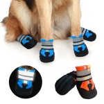Dog Boots Manufacturer - Wholesale Cute Durable