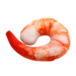 Dog Toy Supplier - Wholesale Teddy Puppy Chew