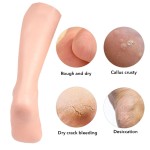 Stockings Supplier - Factory Supply Long Gel