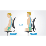 Back Stretcher Factory - Premium Fitness Equipment Spine