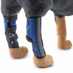 Dog Knee Brace Supplier - Breathable Injury Recover