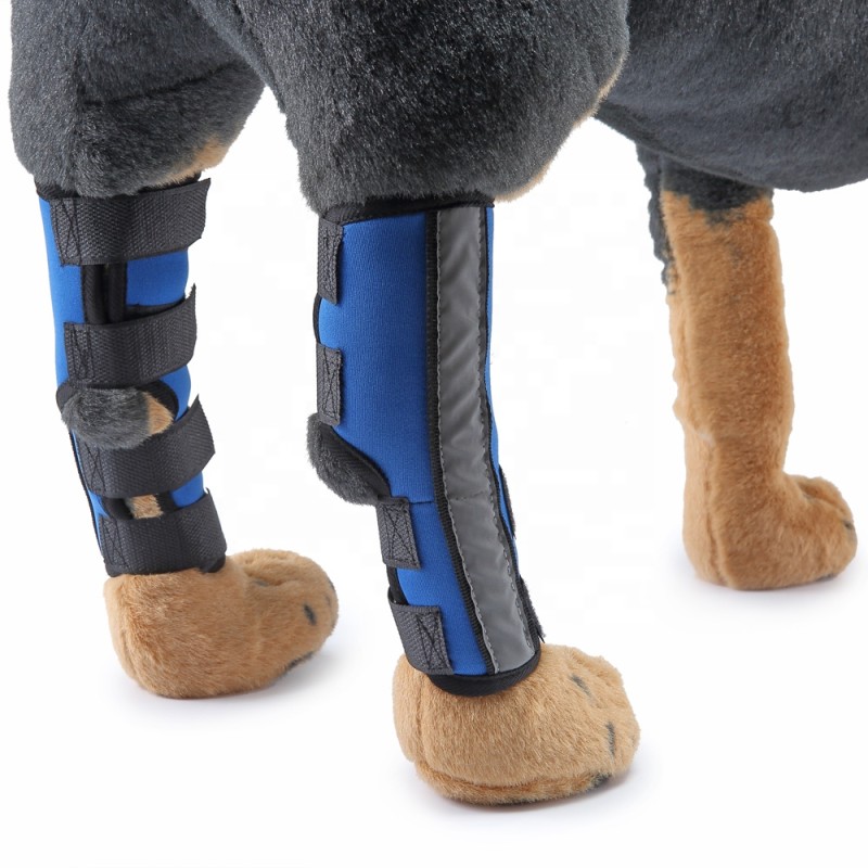 Dog Knee Brace Supplier - Breathable Injury Recover
