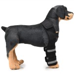 Leg Brace Manufacturer - Factory Supply Adjustable