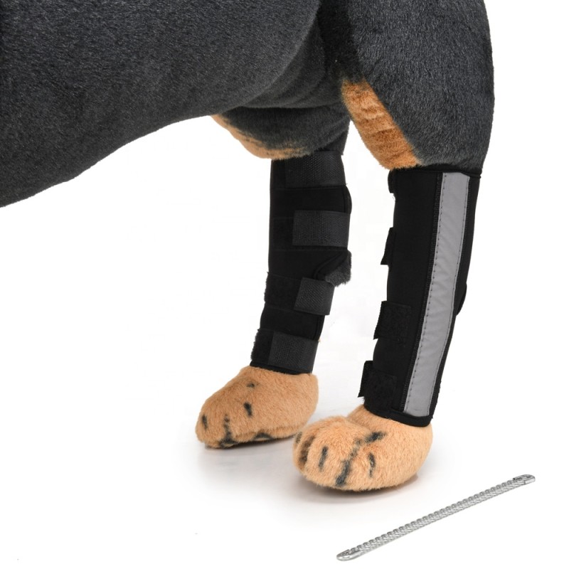 Dog Braces Factory - OEM Adjustable Canine