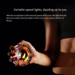 Gyro Ball Manufacturer - Popular Portable Grip