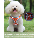Dog Harness Factory - Pet Chest Strap Traction