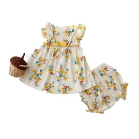 Baby Dress Manufacturer - Custom Design Princess