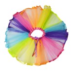 Dance Costume Manufacturer - Halloween Mesh Skirt