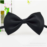 Bowtie Supplier - Children Formal Mixed