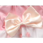 Children Dress Factory - Hot Little Girl Party