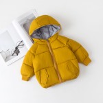 Children Coat Factory - New Winter Cotton Padded