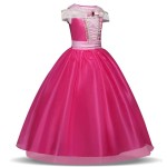Princess Skirt Manufacturer - Girls Dress Costume