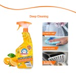 Kitchen Cleaning Spray Kitchen Spray Liquid Detergent Eco Friendly Organic Oven Stove Cleaner Spray