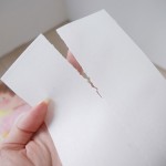 Laundry Detergent Sheets Eco-friendly Biodegradable Pure Natural Plant Laundry Detergent Sheet/Strips