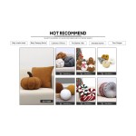 Accent Pillow Supplier - Luxury Velvet Fluffy