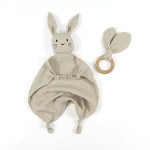 Photo Blanket Supplier - Newborn Milestone Flannel