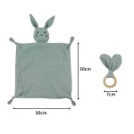 Photo Blanket Supplier - Newborn Milestone Flannel