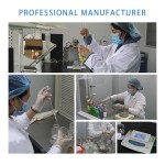 Liquid Soap Factory - Custom Papaya Antibacterial Hand Soap