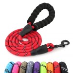 Dog Leash Factory - Nylon D-Ring Walking