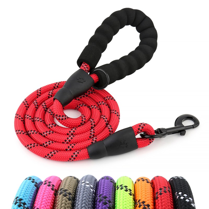 Dog Leash Factory - Nylon D-Ring Walking