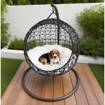 Pet Carrier Manufacturer - New Design Solid Plastic