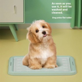 Car Shelter Factory - All-weather Galvanized