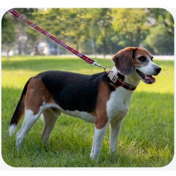 Long Leash Supplier - 50FT Comfortable Padded