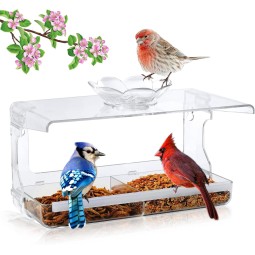 Bird Feeder Factory - Outdoor Clear Self-Adhesive