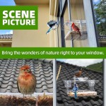 Bird Feeder Factory - Outdoor Clear Self-Adhesive