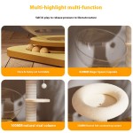 Integrated Cat Tree Factory - Modern Sisal House