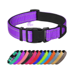 Retractable Leash Manufacturer - Automatic 5m Nylon