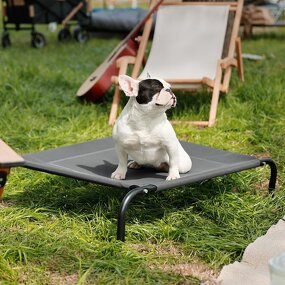 Pet Hammock Supplier - Cool Summer Hanging